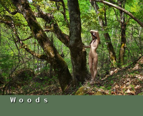 woods01.jpg